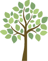 BH Tree